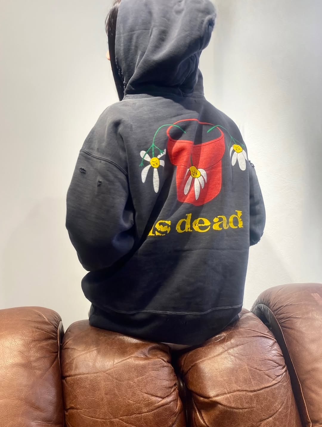 P369 Potted printed vintage hoodie · image 27