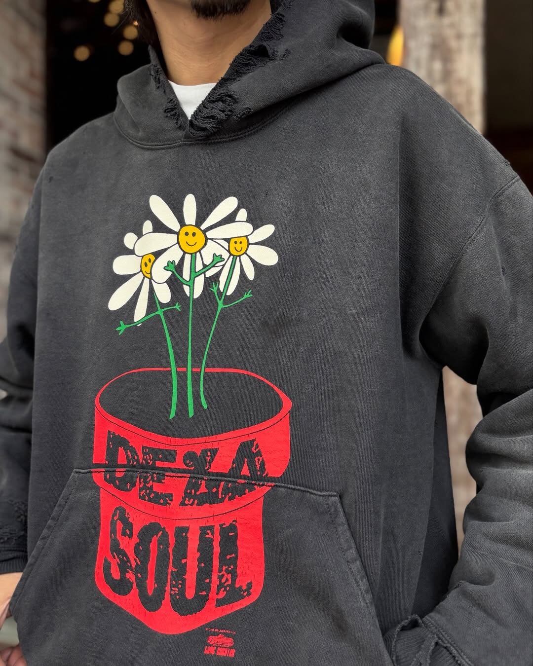 P369 Potted printed vintage hoodie · image 25