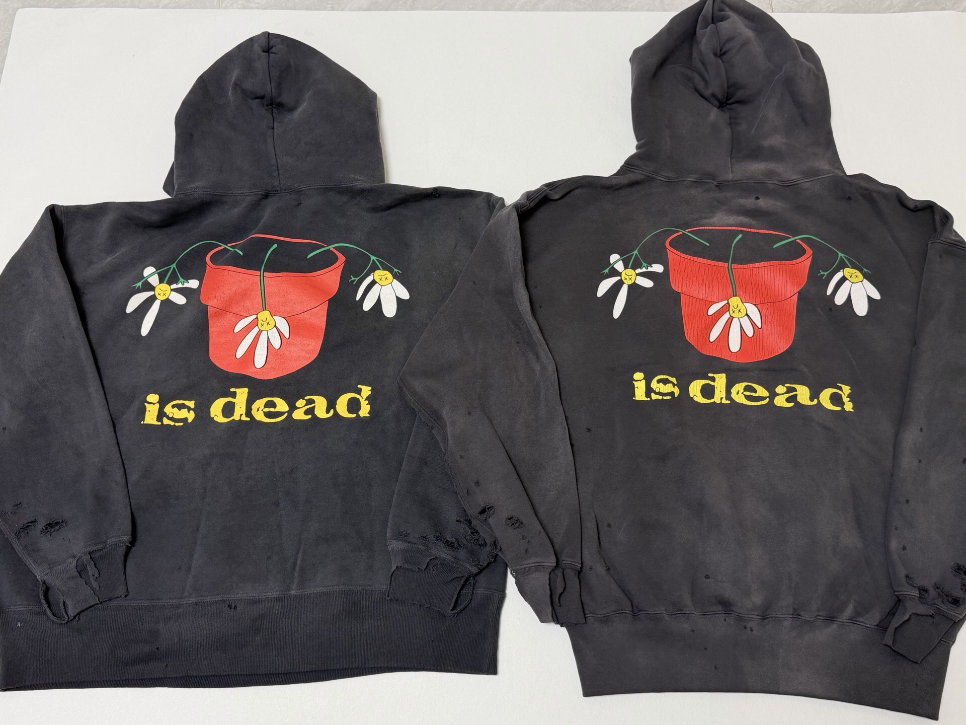 P369 Potted printed vintage hoodie · image 19