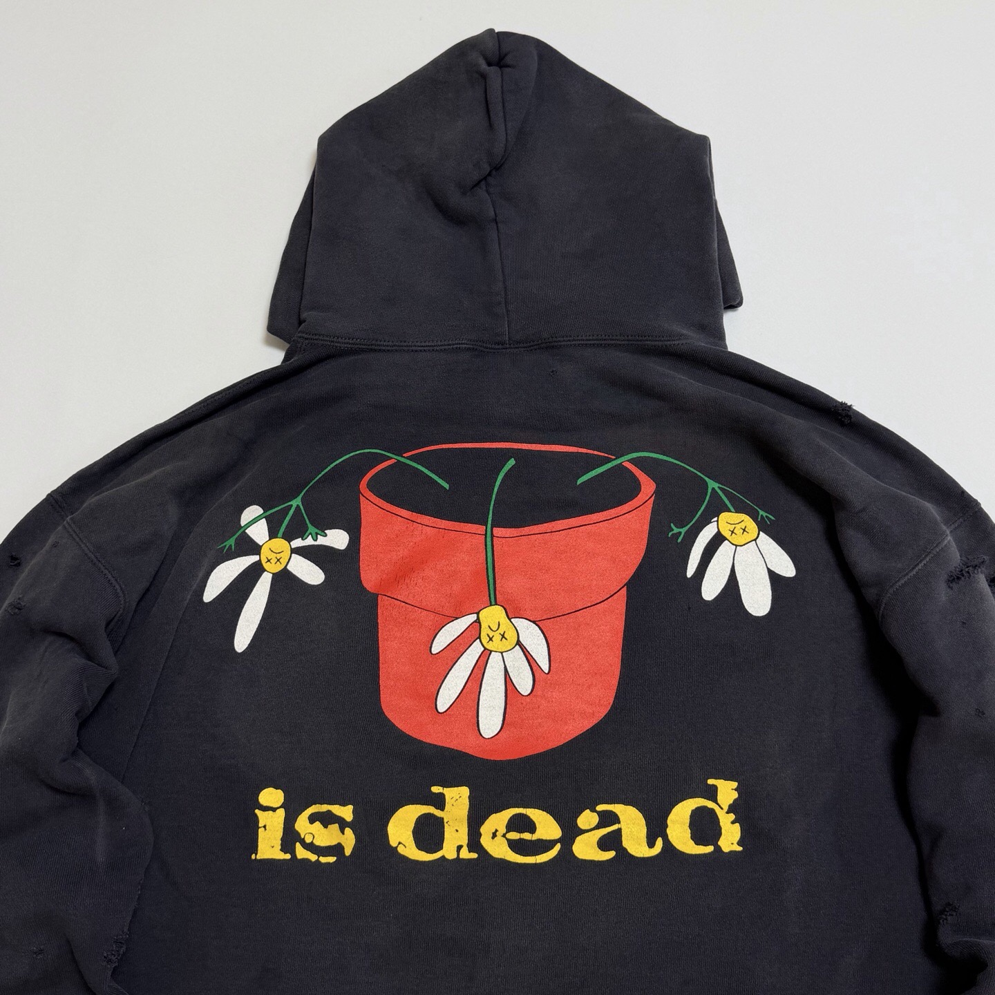 P369 Potted printed vintage hoodie · image 12