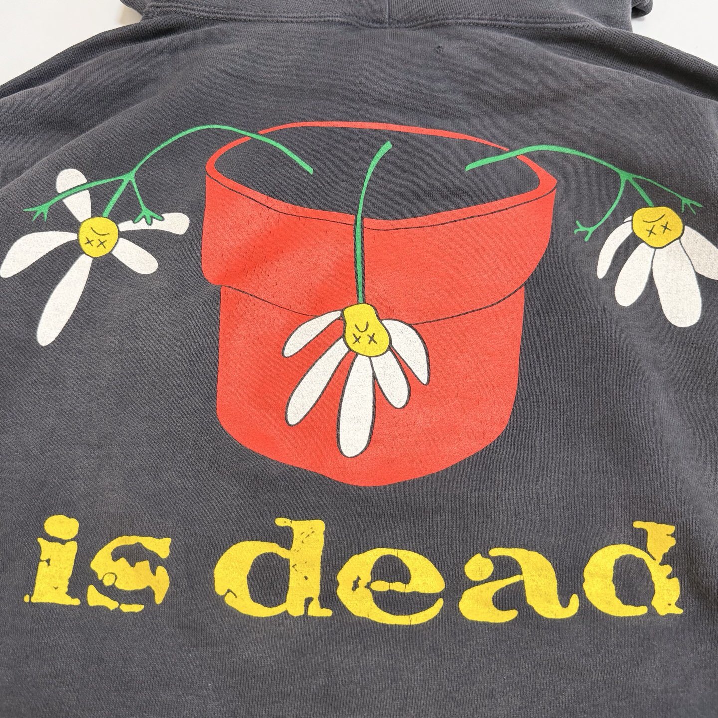 P369 Potted printed vintage hoodie · image 13